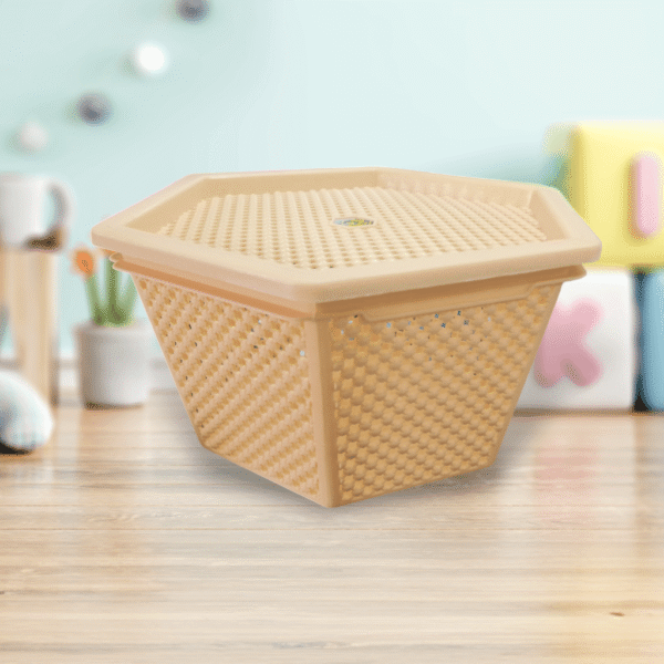 Multipurpose Basket w Lid #2